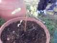 /album/trabalhando-para-um-planeta-melhor/p201111-14-19-01-jpg/